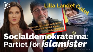 Partiet Nyans - Socialdemokraternas nya stödhjul? | Lilla Landet Galet