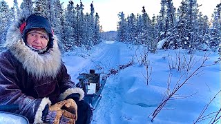 Tanana Yuut Alaska Wolf Trapping - Jan 20, 2024