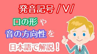 発音記号/v/の読み方｜口の形や音の方向性を日本語で解説！vの発音を習得してネイティブの英語が聞き取りやすくなるリスニング上達法！