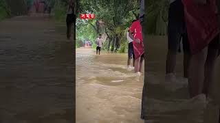 বন্যা উপদ্রুত ১১ জেলায় ২১% মোবাইল টাওয়ার অচল! #flood #floodupdate #floodnews #somoytv #shorts #reels