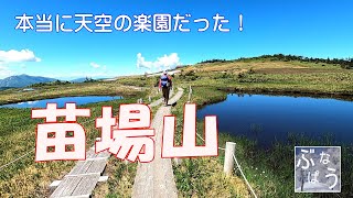 苗場山！天空の楽園ハイキング