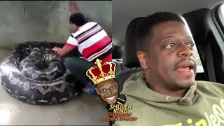 Shuler King - That Snake Is Just Waiting!!!