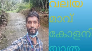 വലിയ മാവ് കോളനി a tribal colony @mysimplevlog9631