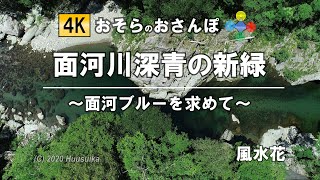 面河川深青の新緑(4K空撮)　～面河ブルーを求めて～　おそらのおさんぽ