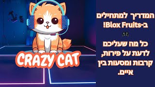 המדריך המושלם למתחילים ב-Blox Fruits! 🎮 כל מה שצריך לדעת על פירות, קרבות ומעבר בין איים