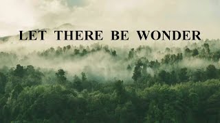 Cory Voss & Madison Street Worship - Let There Be Wonder (Lyric Video)