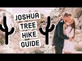 What to do in Joshua Tree National Park (best hike guide)