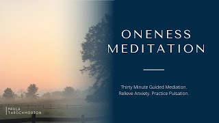 Thirty Minute Guided Meditation,  Oneness Meditation, Relieve Anxiety, Practice Pulsation