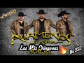 Alameños De La Sierra LAS MAS CHINGONAS PA BAILAR Mix 2022 - Dj Norteño Mix