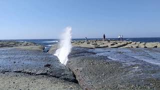 青森県西津軽郡深浦町北金ケ沢 千畳敷海岸　潮吹き岩