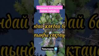 Осы даналық сөздерден кейін өміріңіз өзгереді. #даналық #афоризм #цитата #данасөздер