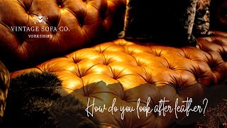 Vintage Sofa FAQ: Care For Aniline Leather