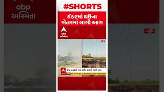 Idar Fire: ખેતરમાં શોર્ટ સર્કિટ થતા ઘઉંનો પાક બળીને થઈ ગયો ખાખ... ખેડૂત પરિવારને પડતા પર પાટું