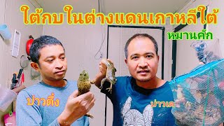 ep2.หากบเกาหลีตัวใหญ่มากๆหมานคัก #หากินต่างแดน #แรงงานไทยในเกาหลีใต้