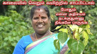 காலையில் வெறும் வயிற்றில் 2 இலை சாப்பிட்டால் போதும் என்ன நடக்கும் தெரியுமா❓