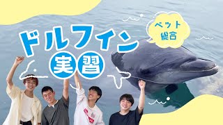 ドルフィン実習に行ってきた！2023バージョン♪【河原アイペットワールド専門学校】