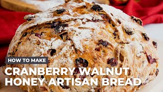 How to Make No Knead Cranberry Walnut Honey Artisan Bread