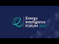 petronas – leadership dialogue 2021 energy intelligence forum