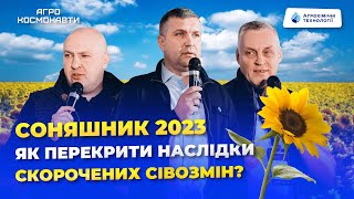 ЕКОНОМІКА ЧИ ЕКОНОМІЯ: соняшник 2023 - як не піти в мінус