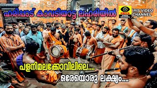 ഹരിപ്പാട് കാവടിയാട്ട ലഹരിയില്‍ ... |   Harippadkavadiyattalahariyil...