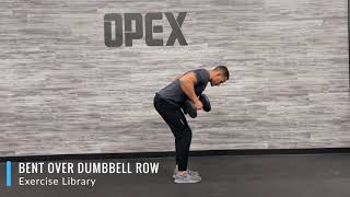 Bent Over Dumbbell Row