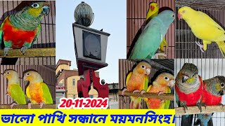 ভালো পাখির সন্ধানে ময়মনসিংহ | ব্রিডিং পেয়ার ইয়োলো রিংনেক,ব্লু রিংনেক,কনুর ইত্যাদি ভালো জাতের পাখি