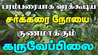 கருவேப்பிலை சாப்பிடுவதால் இவ்வளவு நன்மைகளா? | Benefits of Curry Leaves in Tamil | Karuveppilai Uses