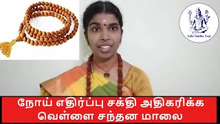 நோய் எதிர்ப்பு சக்தி அதிகரிக்க வெள்ளை சந்தன மாலை | White Sandalwood Mala | Santhana Malai | Tamil