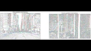 Signal Processing for Machine Learning