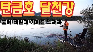 충주 탄금호 달천강에서 배수에 올라타는 붕어를 노려라! #fishing #붕어낚시 #탄금호 #달천강