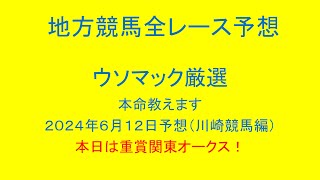 地方競馬（川崎競馬）全レース予想！ウソマックが厳選した本命教えます。２０２４年６月１２日予想！本日は重賞関東オークス！