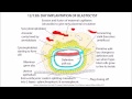 embryology in a nutshell part 1