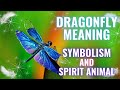 Angelic Sign -Blue Dragonfly Spirit Animal