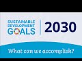 SDG 2030: What goals and targets can we accomplish together?