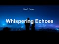 Whispering Echoes | Official Visual Video  #song #lyrics #shortvideo #subscribe #dance