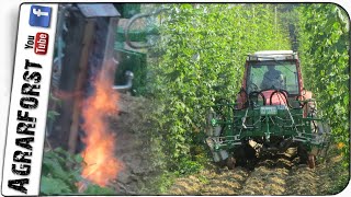 Hopfen Abflammen 🍺 Thermische Unkrautbekämpfung - Lindner Geotrac 93 - Reinert Hopfenflamm XR