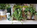 자막 식물키우기 살아있는 식물 액자 만들기 how to make plant frame