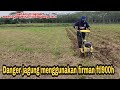 Firman ftl 900h sangat membantu petani milenial || proses danger jagung gaes