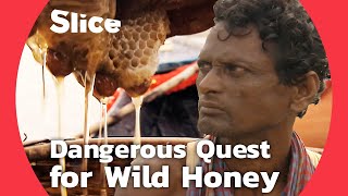 Wild Honey Hunters of the Sundarbans: Facing Tigers and Danger | SLICE | FULL DOCUMENTARY