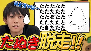 【大事件】謎解きからたぬきが脱走しました…