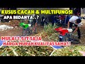 PETERNAK HARUS TAU PERBEDAANYA‼️Review choper kusus cacah dan multifungsi