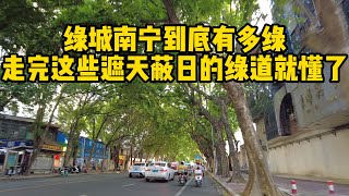 绿城南宁到底有多绿，走完这些“暗无天日”的绿道就懂了