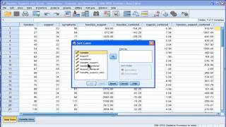 Multiple Regression - Interaction - SPSS (part 3)