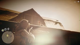 Red Dead Redemption 2 | 未亡人、セイディ・アドラー(金メダル) / 寡婦，賽蒂・亞德勒夫人(金牌)