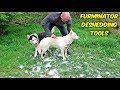 FURminator DeShedding Tools for Dogs