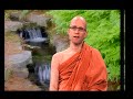 one who lives by the dhamma