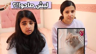 للأسف القط حقنا ماريو طلع من البيت وضاع!؟😔😢 / يوميات عائلة هيون