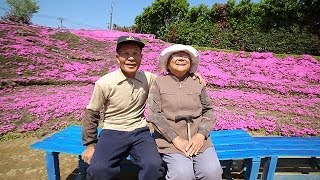 光失った妻に芝桜を　黒木敏幸さんと靖子さん夫妻　宮崎