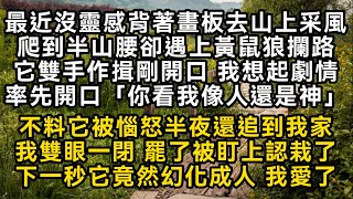 去山上采風爬到半山腰卻遇上黃鼠狼攔路它雙手作揖剛開口 我率先開口「你看我像人還是神」不料它被惱怒半夜還追到我家我被盯上認栽了下一秒它竟然幻化成人#書林小說 #重生 #爽文 #情感故事 #唯美频道