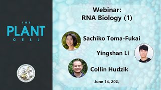 Plant Cell Webinar:  RNA Biology (Part 1)